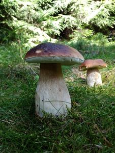 Klikni pro velký obrázek