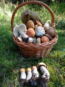 Klikni pro velký obrázek