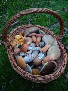 Klikni pro velký obrázek