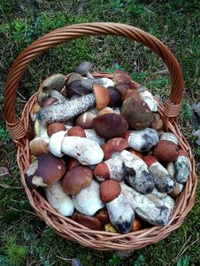 Klikni pro velký obrázek