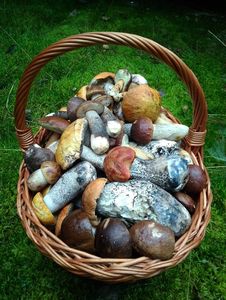 Klikni pro velký obrázek