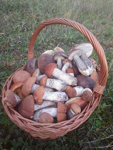 Klikni pro velký obrázek