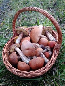 Klikni pro velký obrázek