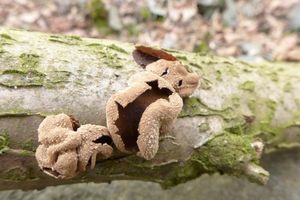 Klikni pro velký obrázek