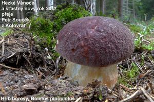 Klikni pro velký obrázek