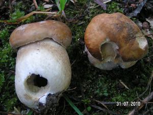 Klikni pro velký obrázek