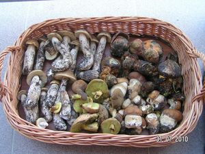 Klikni pro velký obrázek