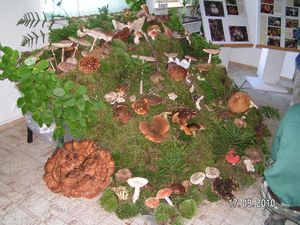 Klikni pro velký obrázek