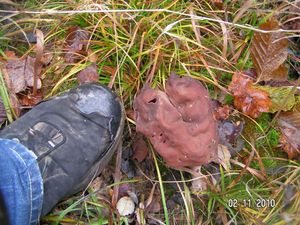 Klikni pro velký obrázek