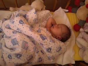 Klikni pro velký obrázek