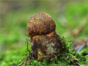 Klikni pro velký obrázek