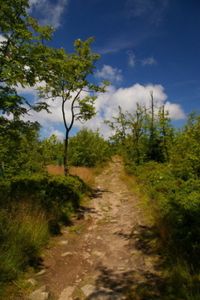 Klikni pro velký obrázek