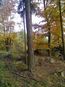 Klikni pro velký obrázek