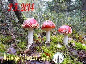 Klikni pro velký obrázek