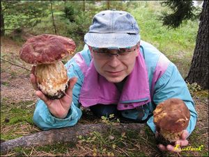 Klikni pro velký obrázek