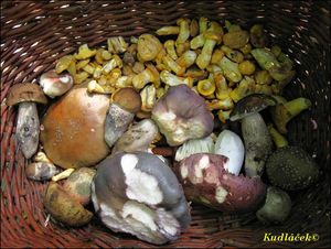 Klikni pro velký obrázek