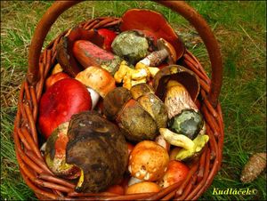 Klikni pro velký obrázek