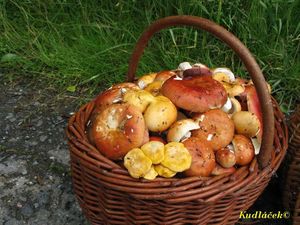 Klikni pro velký obrázek