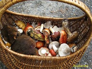 Klikni pro velký obrázek