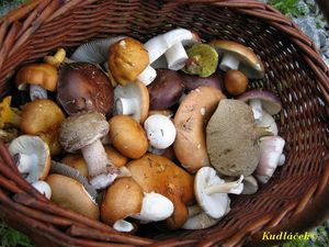 Klikni pro velký obrázek