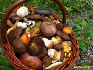 Klikni pro velký obrázek