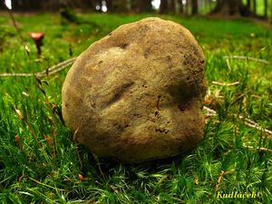 Klikni pro velký obrázek