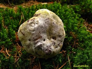 Klikni pro velký obrázek