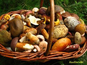 Klikni pro velký obrázek