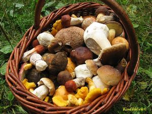 Klikni pro velký obrázek