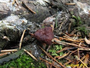 Klikni pro velký obrázek