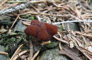 Klikni pro velký obrázek