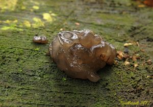 Klikni pro velký obrázek