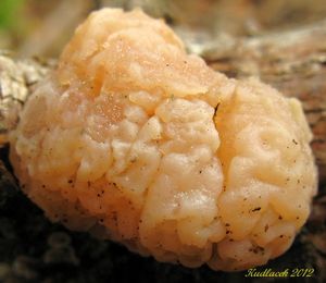 Klikni pro velký obrázek