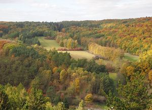 Klikni pro velký obrázek