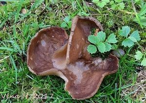 Klikni pro velký obrázek