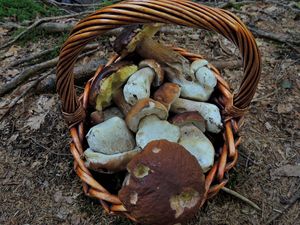 Klikni pro velký obrázek