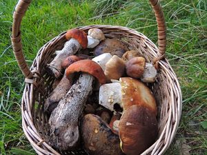 Klikni pro velký obrázek