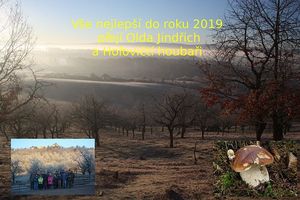 Klikni pro velký obrázek