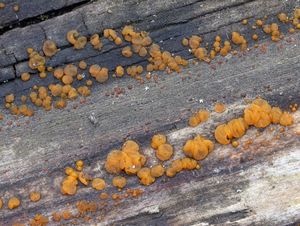 Klikni pro velký obrázek