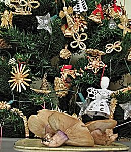 Klikni pro velký obrázek