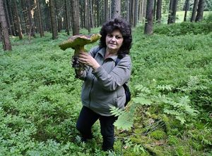 Klikni pro velký obrázek