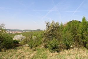 Klikni pro velký obrázek