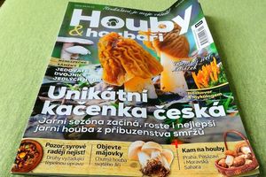 Klikni pro velký obrázek