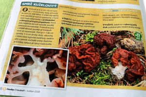 Klikni pro velký obrázek