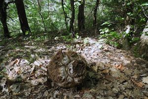 Klikni pro velký obrázek