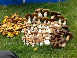 Klikni pro velký obrázek