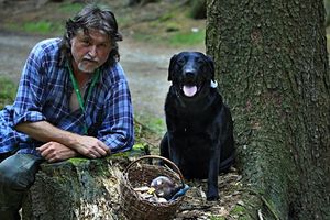 Klikni pro velký obrázek