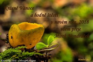 Klikni pro velký obrázek