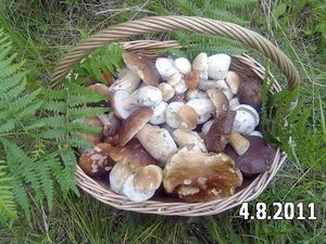 Klikni pro velký obrázek