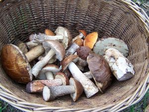 Klikni pro velký obrázek